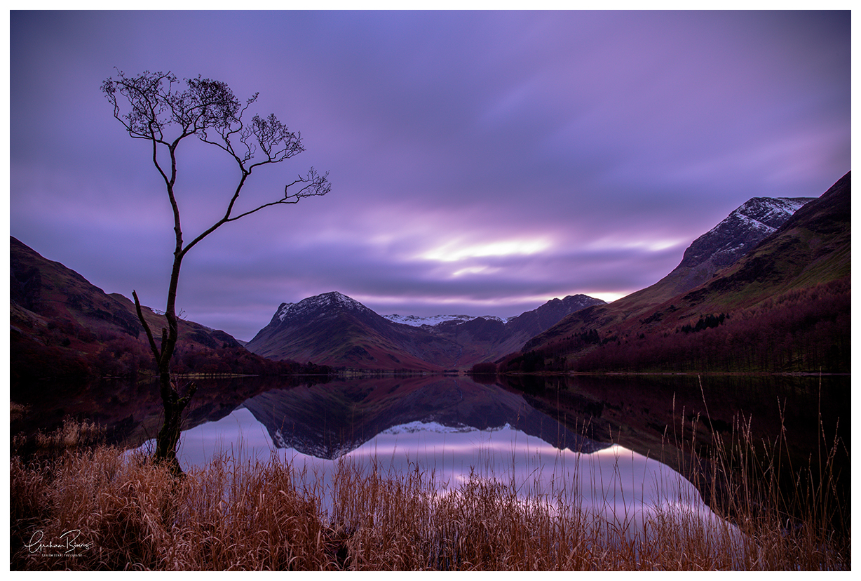 lone tree at lake Buttermere