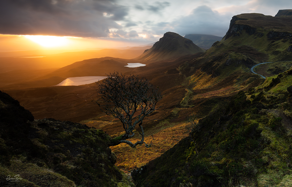 Forced Aura Quirang Lone Tree Isle of Skye sunrise