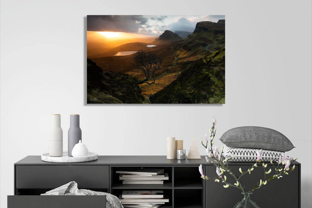 Forced Aura Quiraing lone tree sunrise Canvas on Wall