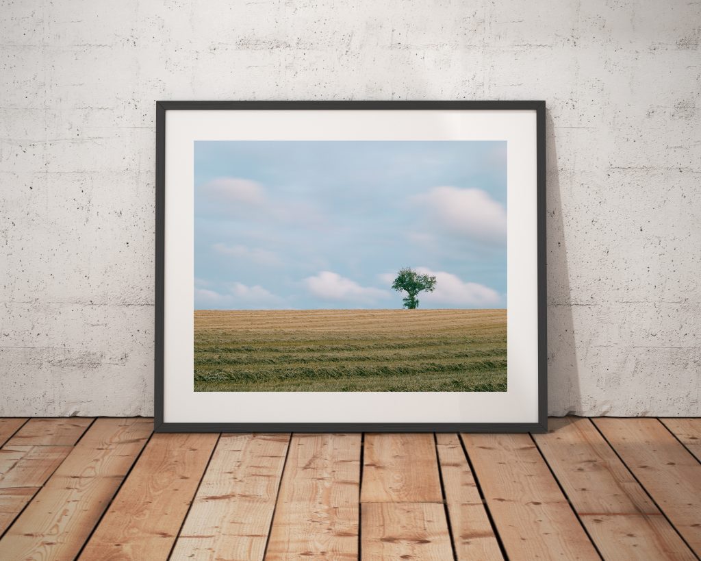 Tree on hill 2 Framed Scholes Cleckheaton
