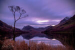 Lake District - Buttermere Lone Tree